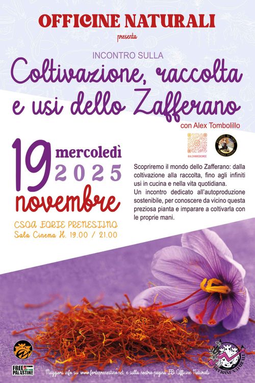 https://www.forteprenestino.net/corsi/officine-naturali/3457-officine-naturali-presenta-coltivazioni-raccolta-e-usi-dello-zafferano