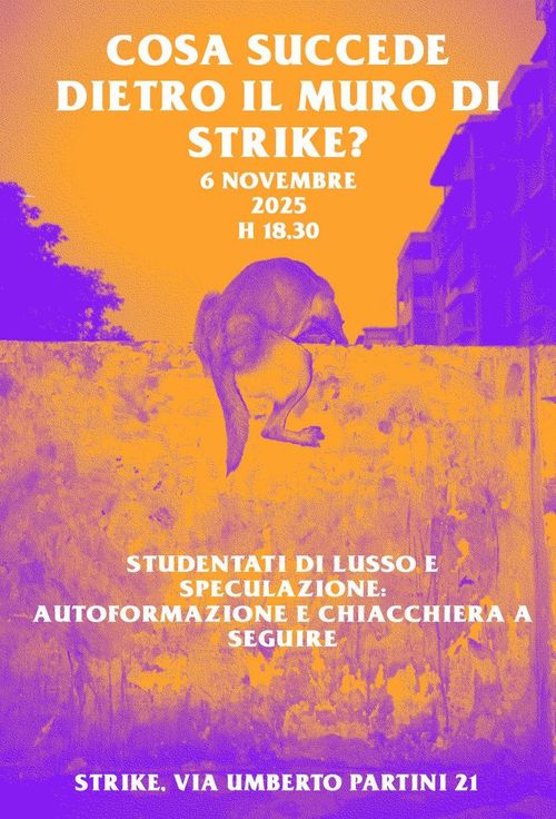 Cosa succede dietro il muro di Strike? -autoformazione-