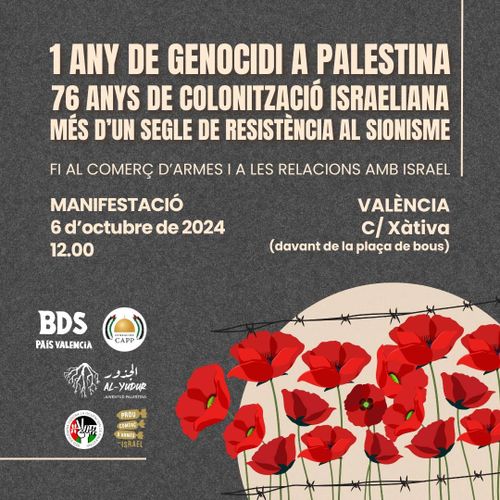 6ª manifestació per Palestina a València