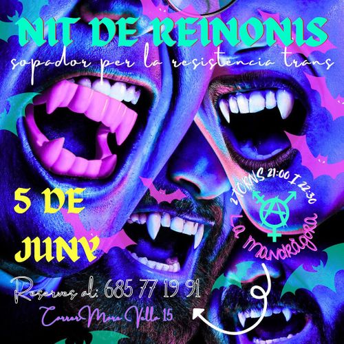 Nit de Reinonis