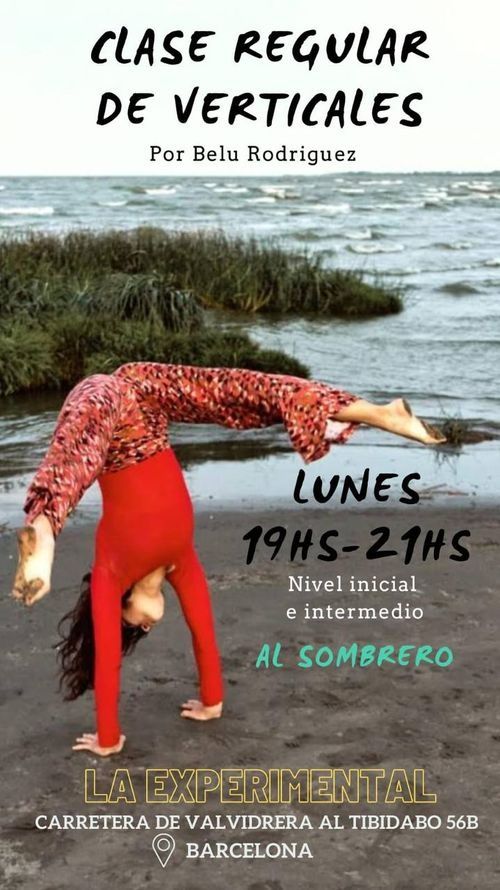 Clase regular de VERTICALES

nivel inicial e intermedio

al sombrero

la experimental