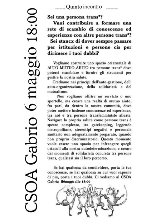 QUINTO INCONTRO DI MUTUO AIUTO TRANS*