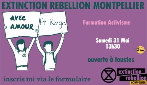 Formation Activisme - Désobéissance Civile Non Violente par XR