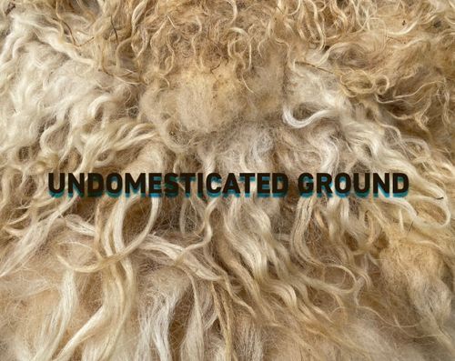 https://www.centralefies.it/undomesticated-ground/