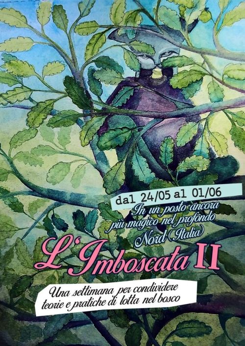 Imboscata II 🐿️