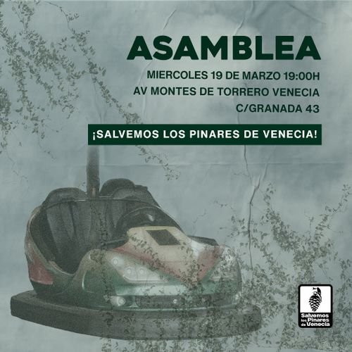 Asamblea: ¡Salvemos lo Pinares de Venecia!